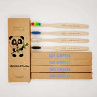 Eco Friendly custom logo bamboo tooth brush quality wholesale bamboo toothbrush with Travel Case for Adult and Kids