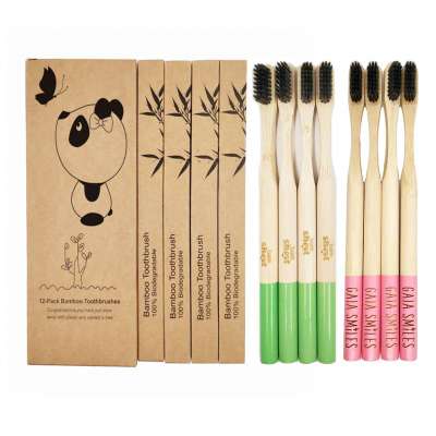 Free samples wholesale eco friendly organic reusable BPA free soft custom bamboo toothbrush set with case for kids and adults